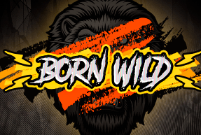 Born Wild 96% Mobile
